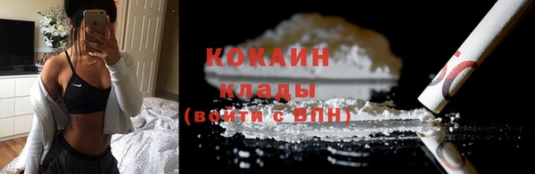 крисы Михайловск