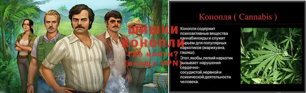 крисы Михайловск