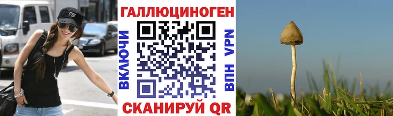 KRAKEN вход  Завитинск  Галлюциногенные грибы Psilocybe 